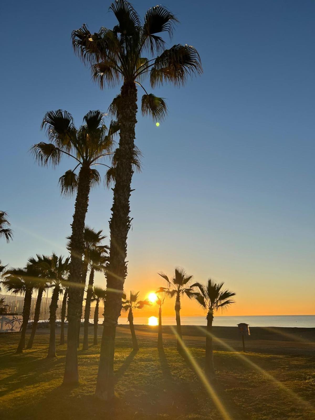 Apto 100 M Playa Piscina Wifi 1 Hab Torre Del Mar